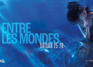 Saison 25 26